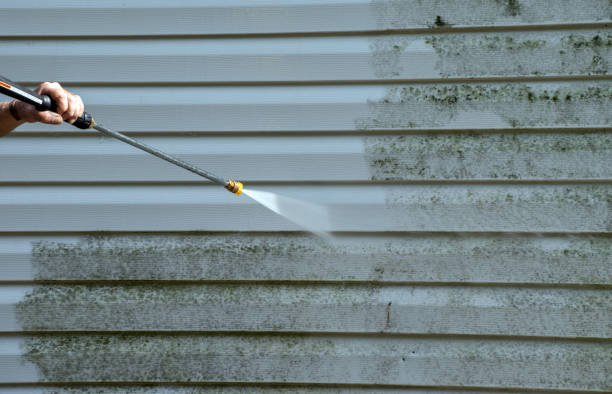 Best Roof Pressure Washing  in Ridgeland, MS